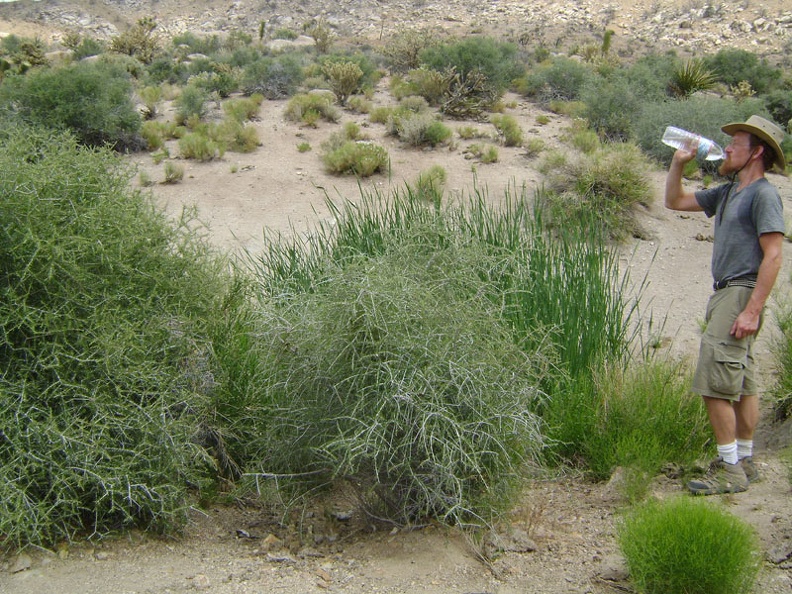 I take a short break at Wildcat Spring and drink some of the water I brought with me