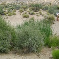 I take a short break at Wildcat Spring and drink some of the water I brought with me