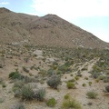 I leave Wildcat Spring and start hiking toward my next stop, Coyote Spring, about 1/2 mile beyond