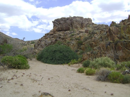 My GPS leads me around a bend toward Coyote Spring; I'm at the lowest elevation of today's trip, 4430 feet