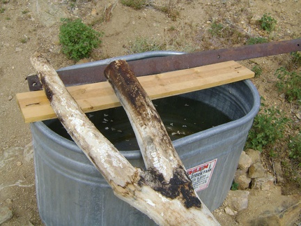 The basin at Chicken Water Spring is mostly full, though the water may not be the freshest