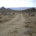 After Chicken Water Spring, I look for an uphill wash on my left that will take me up to Wild Horse Canyon Road