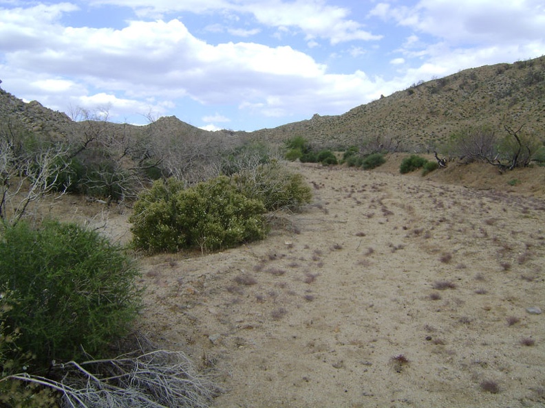 I continue walking up the wash toward Silver Lead Spring and Wild Horse Canyon Road