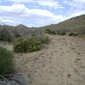 I continue walking up the wash toward Silver Lead Spring and Wild Horse Canyon Road