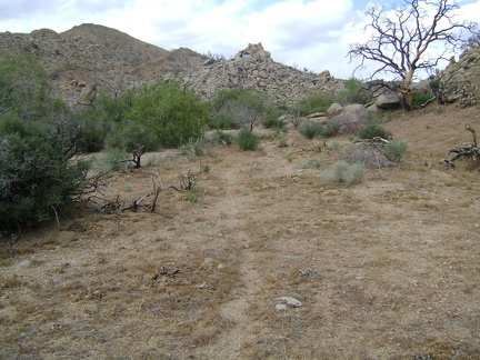 The wash leading up to Silver Lead Spring and Wild Horse Canyon Road is wide