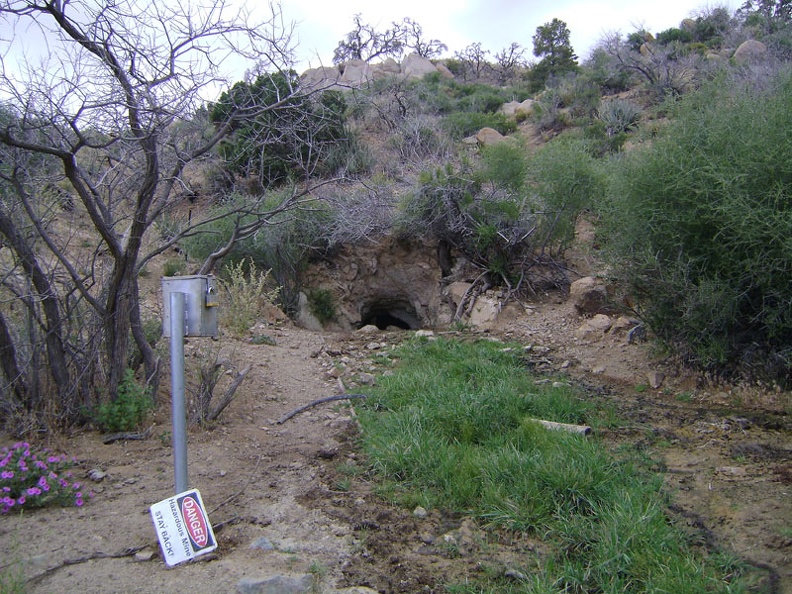 Silver Lead Spring: I almost missed it, but here it is on a small hill just above the wash