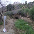 Silver Lead Spring: I almost missed it, but here it is on a small hill just above the wash