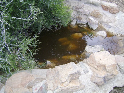 Just to the east of the main part of Silver Lead Spring is an old conrete-and-rock retainer