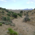 I walk the final 1/2 mile up from Silver Lead Spring to Wild Horse Canyon Road at 5500 feet elevation