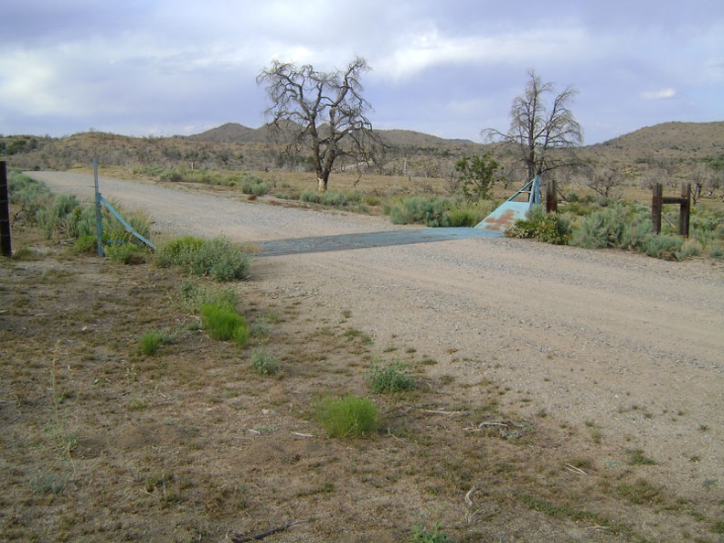 I walk up Wild Horse Canyon road and cross a cattle guard