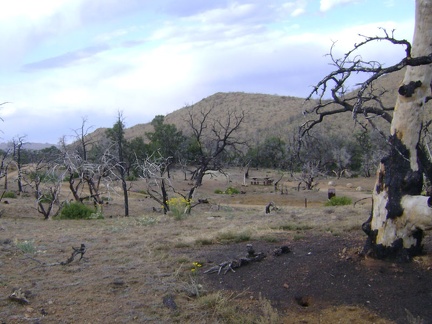 My short cross-country hike comes to an end when I reach the road through Mid Hills campground