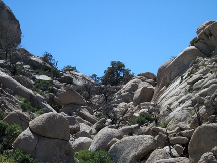 I passed the south end of Eagle Rocks while hiking to Chicken Water Spring last year, but didn't have time to explore the rocks