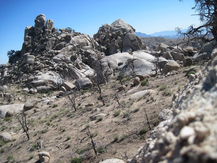 I reach a somewhat open area in the Eagle Rocks on the way to the next pinnacles