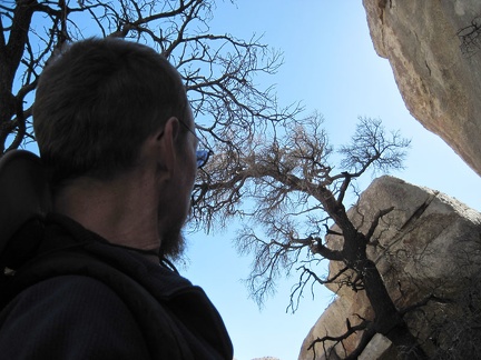 In the shade of some big rocks, I look up through the canopy of a couple of burned trees