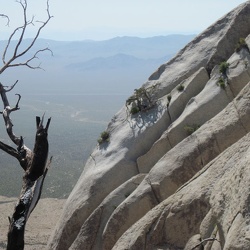 Day 7: Eagle Rocks day hike from Mid Hills campground, Mojave National Preserve