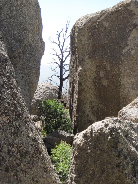Peering between boulders at Eagle Rocks, Mojave National Preserve