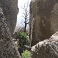 Peering between boulders at Eagle Rocks, Mojave National Preserve