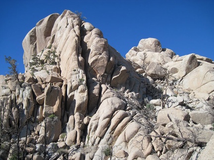 I'm constantly fascinated by the ability of some trees to grow in the upper reaches of the boulders, where soil is almost absent