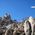 I take a final look up at the Eagle Rocks before starting the hike back to Mid Hills campground