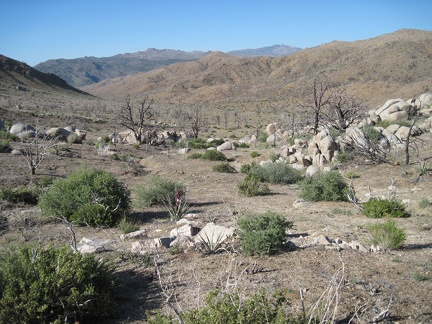 Just east of the south end of Eagle Rocks, I head east (right) across the broad canyon