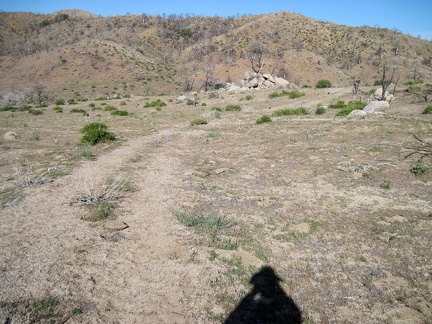 Instead of climbing straight up the hills back to Mid Hills campground, I head south briefly on an old road