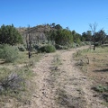 The old road that heads south from Eagle Rocks passes through an area that escaped the 2005 brush fires