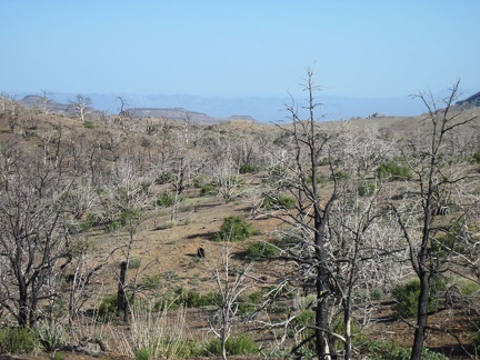 On the way back to Mid Hills campground, I reach an open area with views spanning all the way down to Wild Horse Mesa