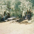 A view of the athels and their shade from my tent