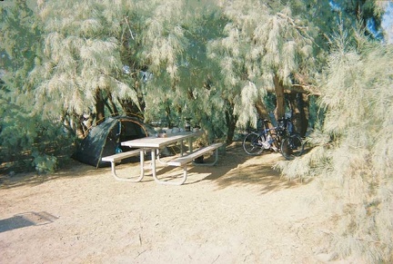 A view of the athels and their shade from my tent
