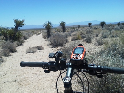 I try riding a half-mile down a really sandy road near Rustler Canyon, but it doesn't work out and I decide to backtrack