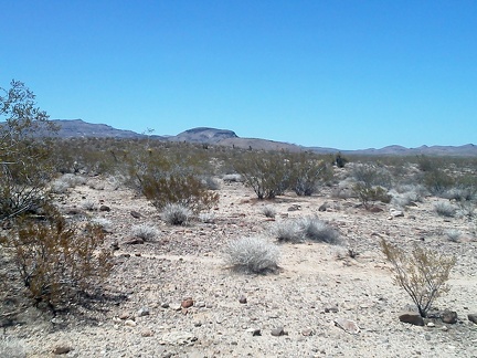 Ah, a view of Tortoise Shell Mountain in the Woods Mountains, where I hiked yesterday