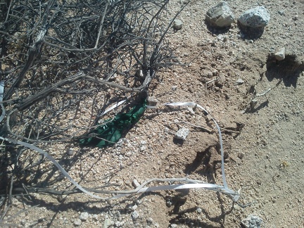 Just before I leave the powerline road for Fenner Hills Road, I spot the remains of a balloon