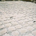 More of the old tiled floor at the former campground's entrance