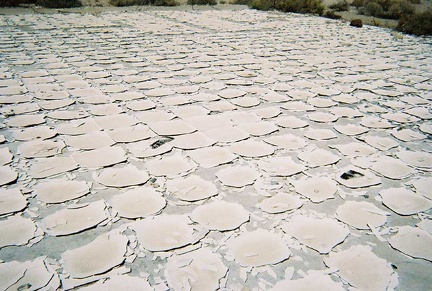 More of the old tiled floor at the former campground's entrance