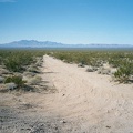 After the 10-mile ride on Route 66 from Goffs to Fenner, I take note of a dirt road leading to the Providence Mountains