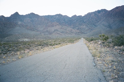 The last mile or two before Providence Mountains State Recreation Area gets steeper