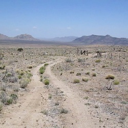 Day 6: Gold Valley and Black Canyon bicycle ride from Mid Hills Campground, Mojave National Preserve