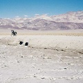 After walking back to the trailhead, I go for a short ride down to the salt flats along West Side Road