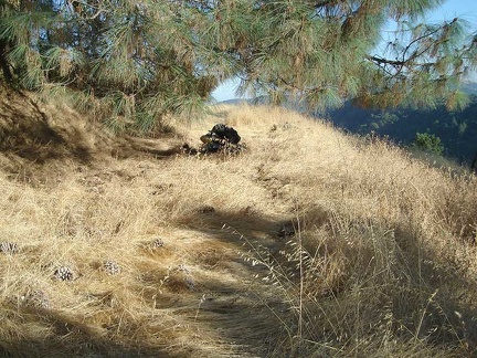 After signing in for backpacking sites at Henry Coe State Park headquarters, I head down to the hidden Yerba Buena campsite.