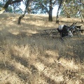 I finally make it to the Yerba Buena campsite with its picnic tables hidden in the shade of many big old oak trees.
