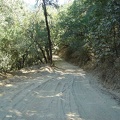 Descending Poverty Flat Road