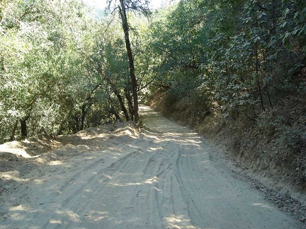 Descending Poverty Flat Road