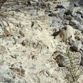Dry Coyote Creek at Los Cruzeros