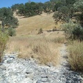 Willow Ridge Trail rises out of Los Cruzeros