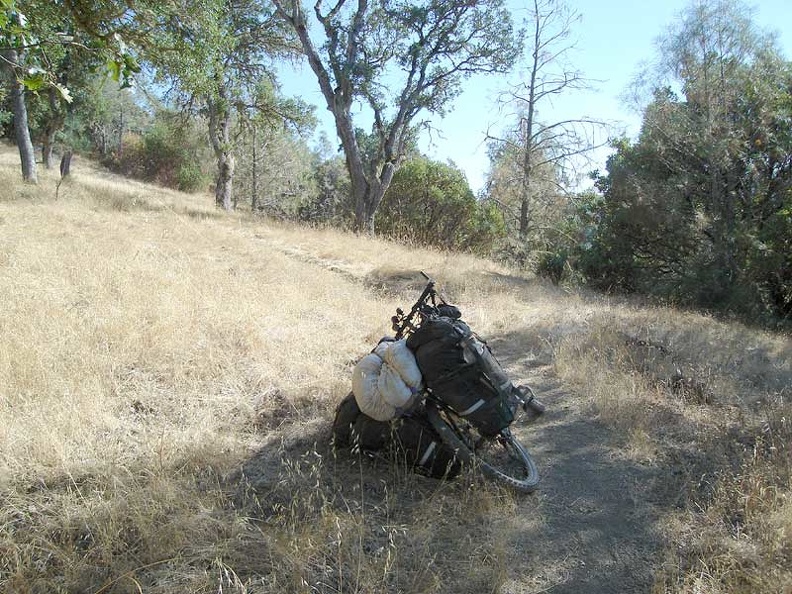 Willow Ridge Trail rises out of the poison oak forest to a more meadowy area.