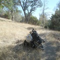 Willow Ridge Trail rises out of the poison oak forest to a more meadowy area.