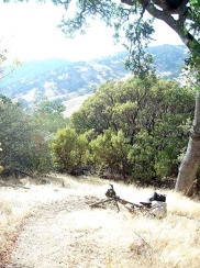 One of many steep sections on Willow Ridge Trail