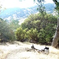 One of many steep sections on Willow Ridge Trail