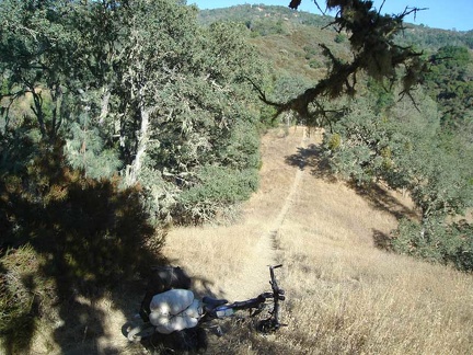 A rare flat stretch along Willlow Ridge Trail