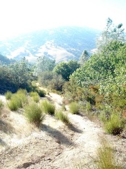 Looking back down another steep part of the trail.